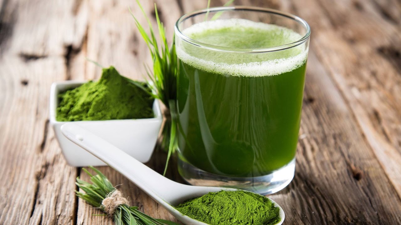 La Spiruline : petite algue aux grandes vertus