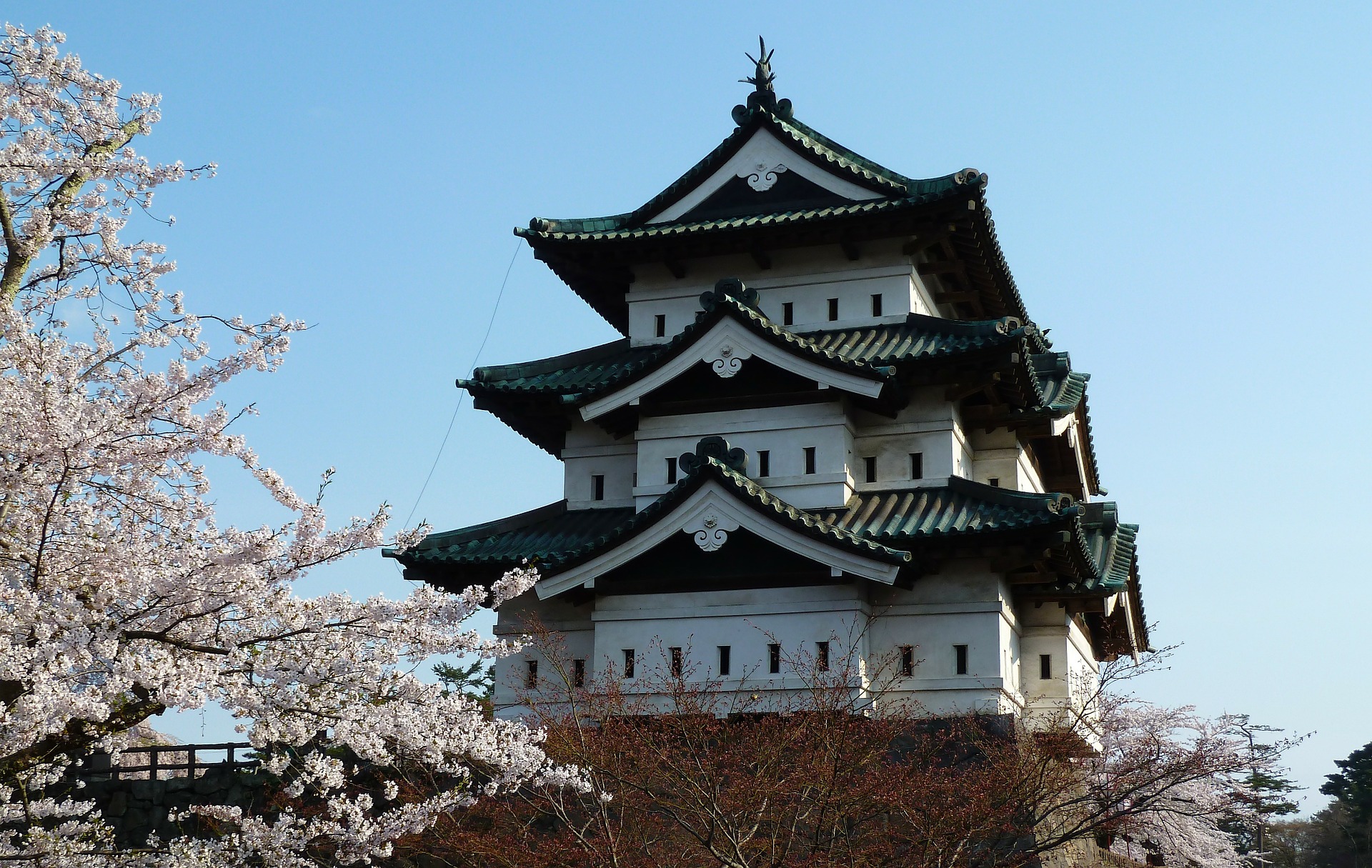 Les 5 activités pour ne plus passer pour un Gaijin au Japon